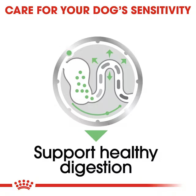 Royal Canin Digestive Care Loaf Wet